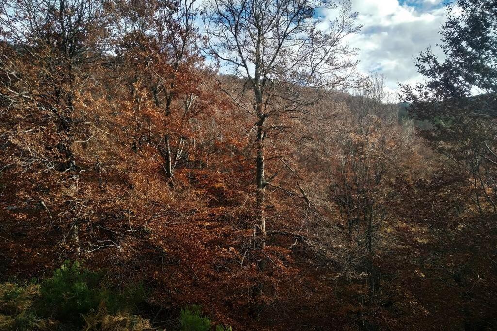 El Ultimo Rincon, Duplex Con Piscina Climatizada Daire La Pinilla  Dış mekan fotoğraf